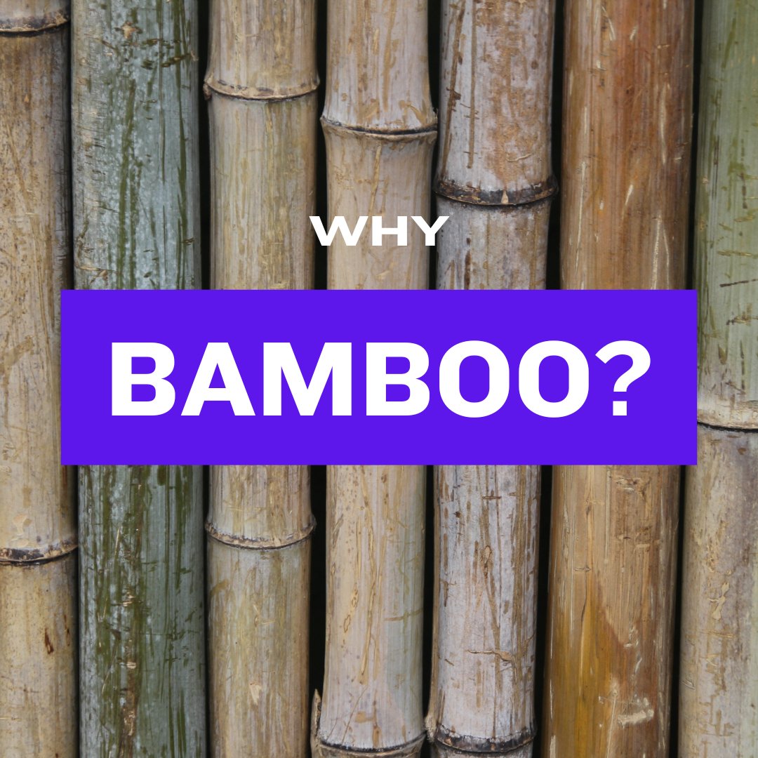 Why Bamboo Fiber?