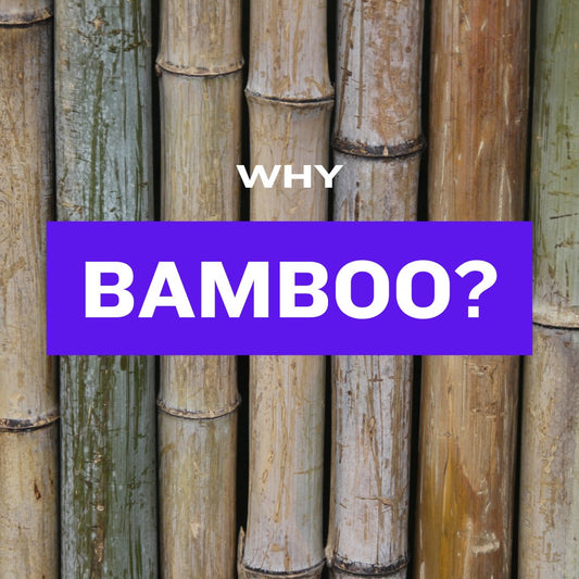 Why Bamboo Fiber?